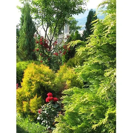 Gajanovic Homestay