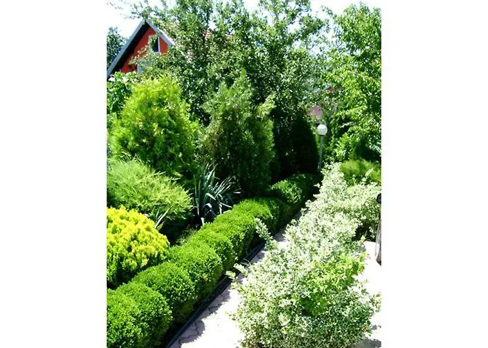 Gajanovic Donji Milanovac