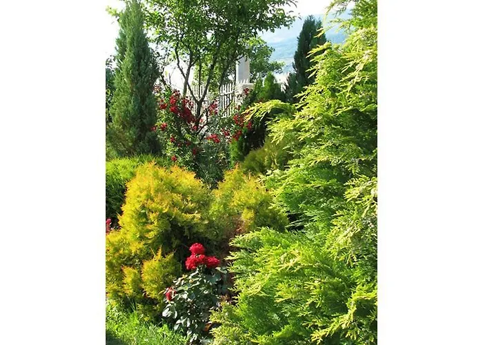 Gajanovic Δωμάτια σε οικογενειακή κατοικία